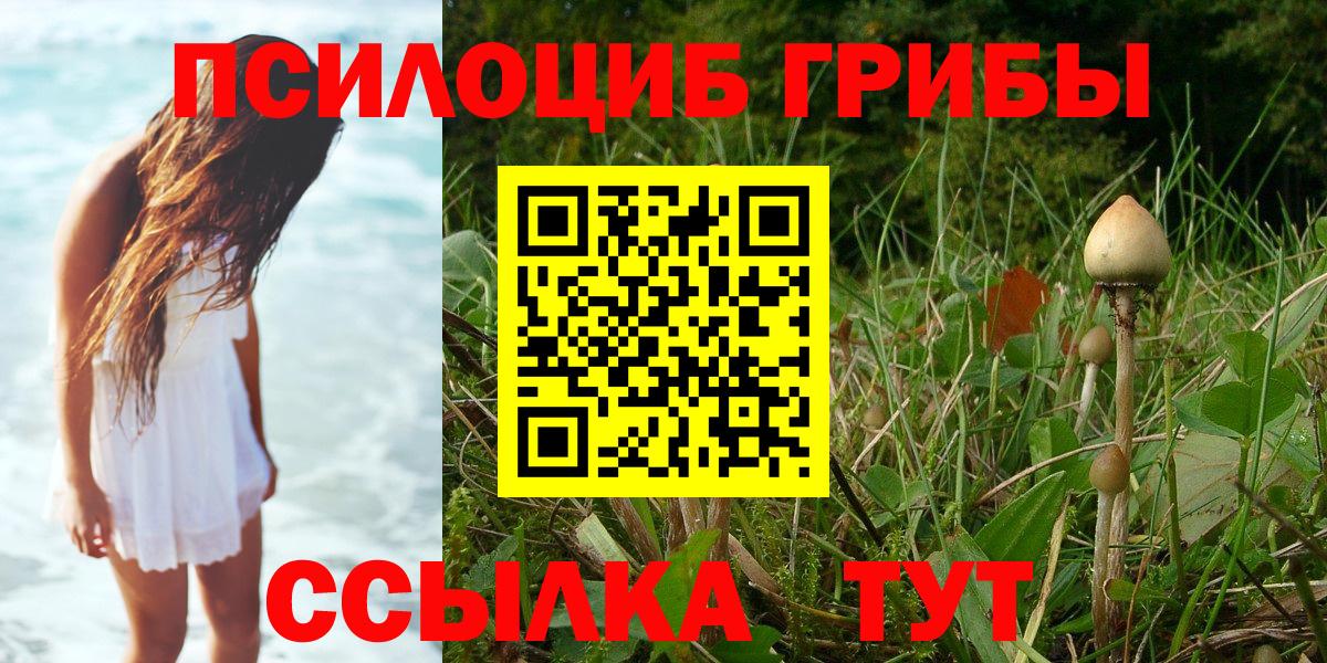 Павлово  Галлюциногенные грибы мицелий  Галлюциногенные грибы Psilocybe  Вход с VPN 