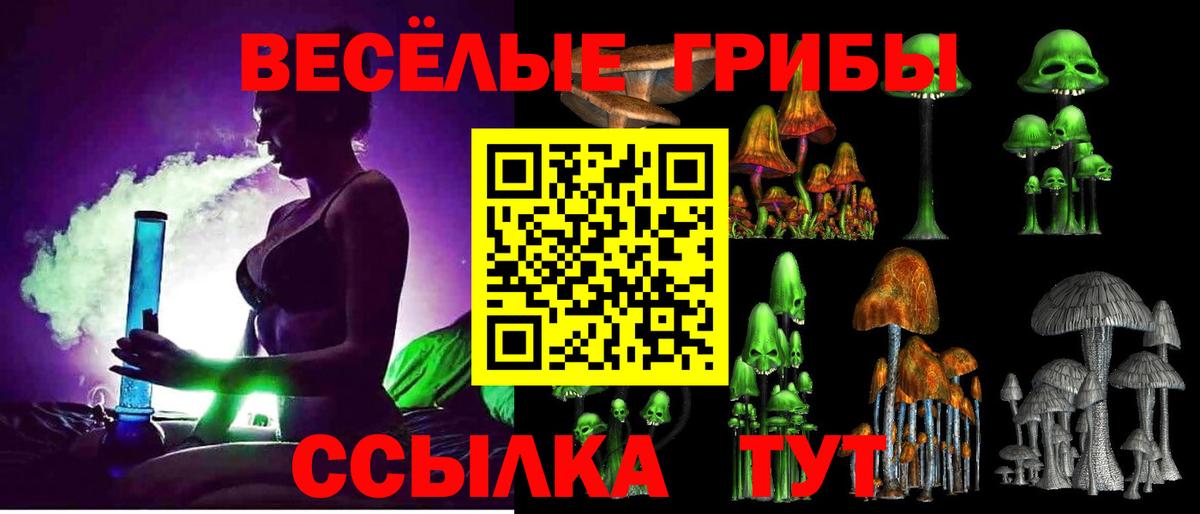 Псилоцибиновые грибы Psilocybine cubensis Павлово